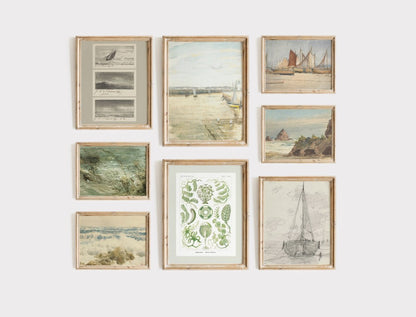 Coastal Prints in Cream, Sage Green and Pastel Blue | Gallery Wall Set | 8 Prints | S8 - 5 - Gallery Wall Set - Piccolo Fiore Prints
