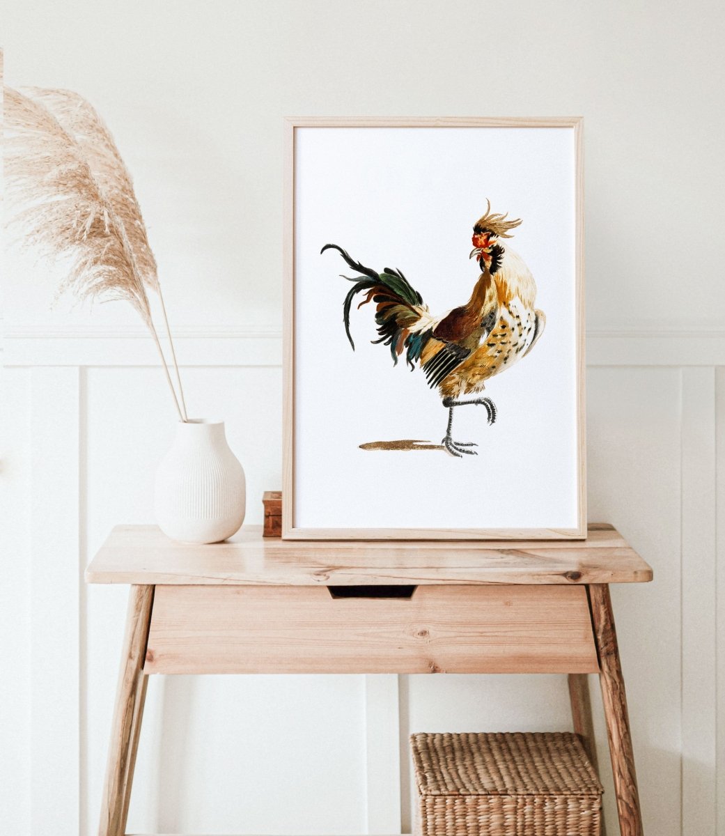 Cockerel Illustration | P102 - Single Art Prints - Piccolo Fiore Prints