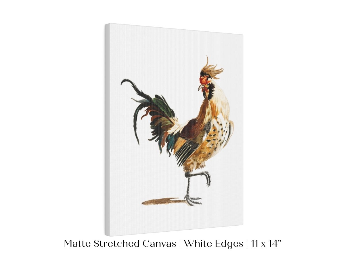 Cockerel Illustration | P102 - Single Art Prints - Piccolo Fiore Prints