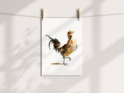 Cockerel Illustration | P102 - Single Art Prints - Piccolo Fiore Prints