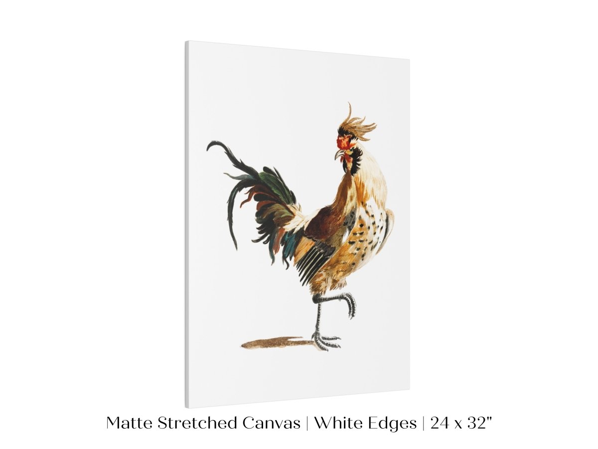Cockerel Illustration | P102 - Single Art Prints - Piccolo Fiore Prints