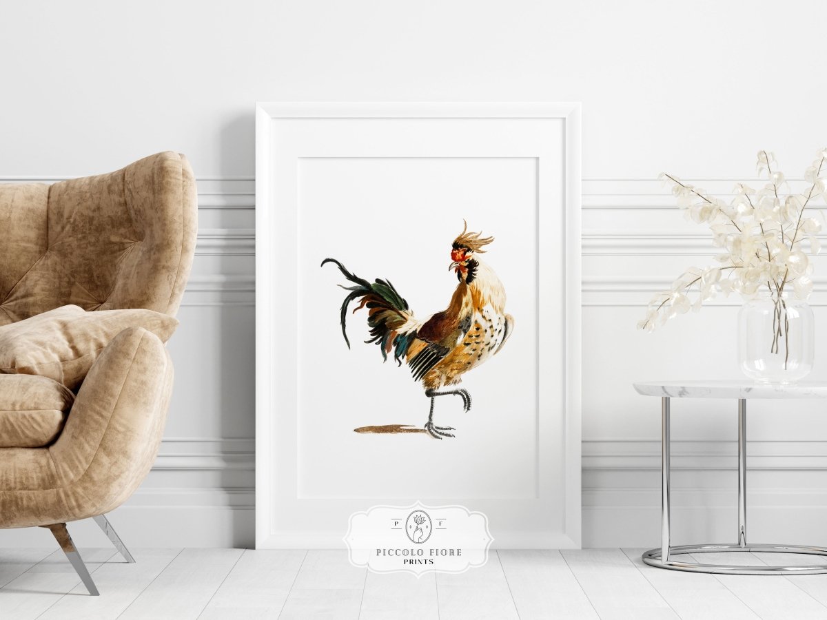Cockerel Illustration | P102 - Single Art Prints - Piccolo Fiore Prints