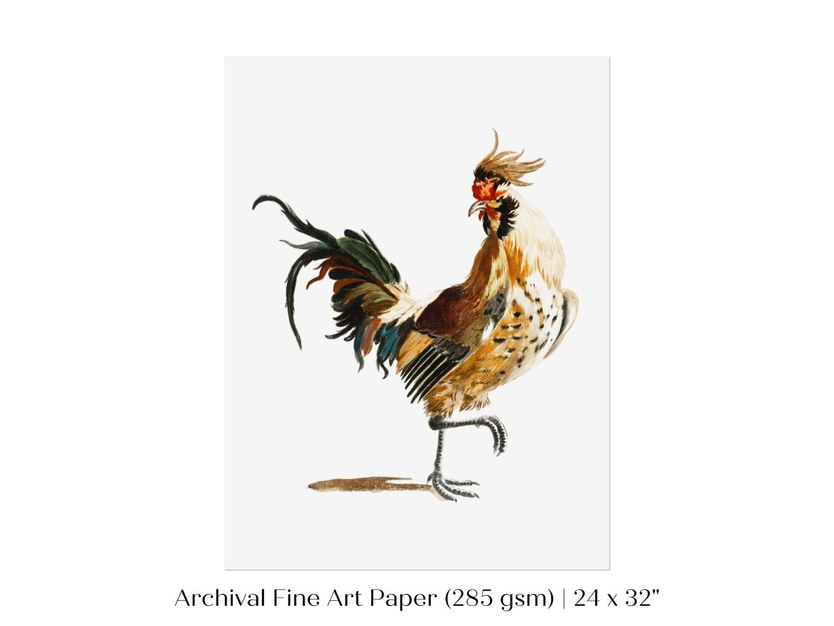 Cockerel Illustration | P102 - Single Art Prints - Piccolo Fiore Prints