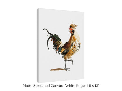 Cockerel Illustration | P102 - Single Art Prints - Piccolo Fiore Prints