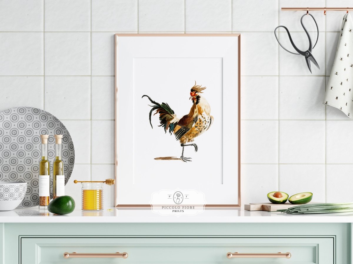 Cockerel Illustration | P102 - Single Art Prints - Piccolo Fiore Prints