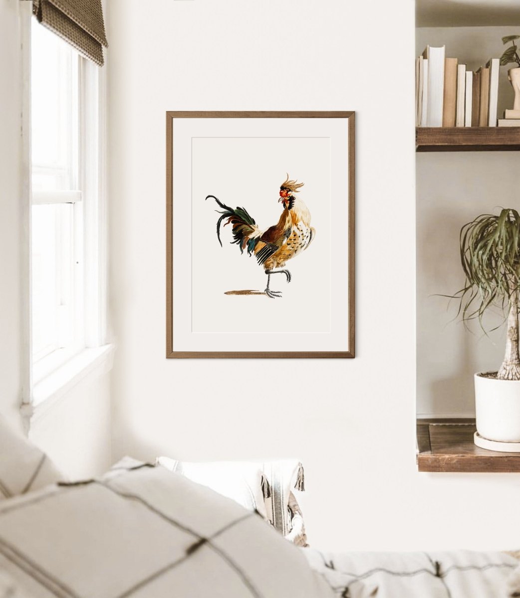 Cockerel Illustration | P102 - Single Art Prints - Piccolo Fiore Prints