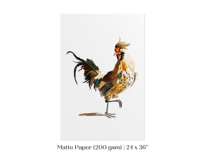 Cockerel Illustration | P102 - Single Art Prints - Piccolo Fiore Prints