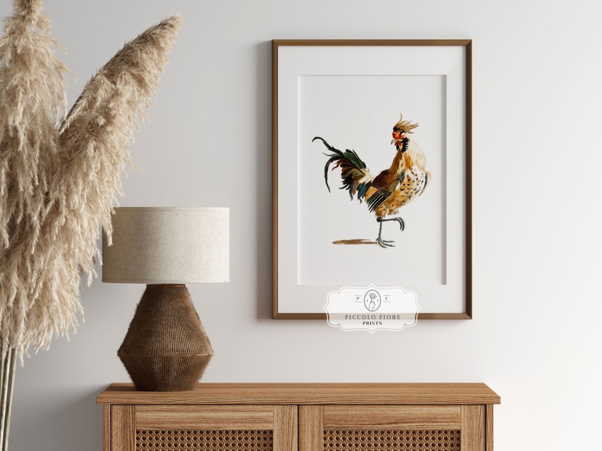 Cockerel Illustration | P102 - Single Art Prints - Piccolo Fiore Prints