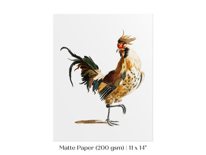 Cockerel Illustration | P102 - Single Art Prints - Piccolo Fiore Prints
