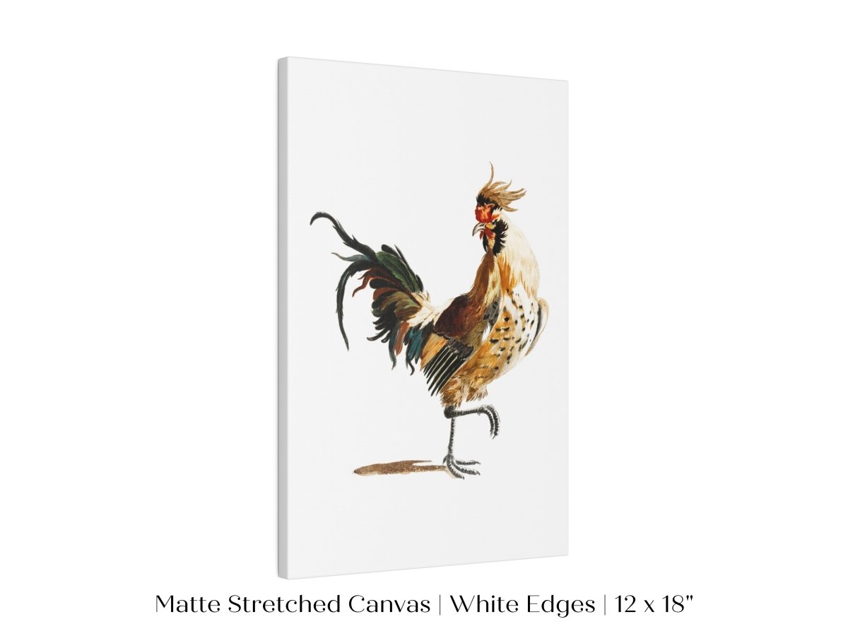 Cockerel Illustration | P102 - Single Art Prints - Piccolo Fiore Prints