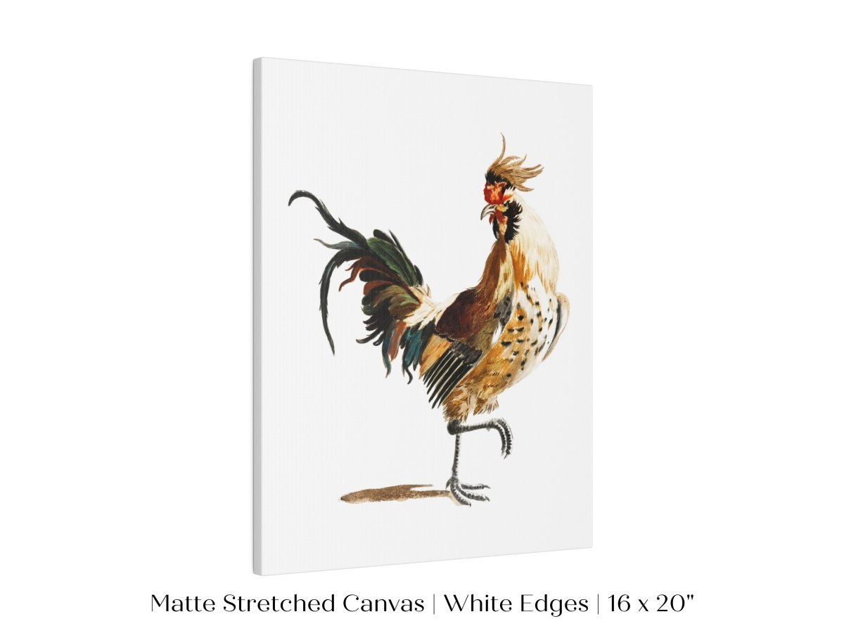 Cockerel Illustration | P102 - Single Art Prints - Piccolo Fiore Prints