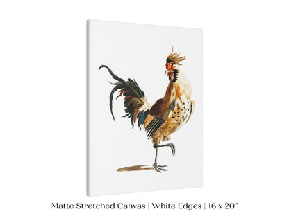 Cockerel Illustration | P102 - Single Art Prints - Piccolo Fiore Prints