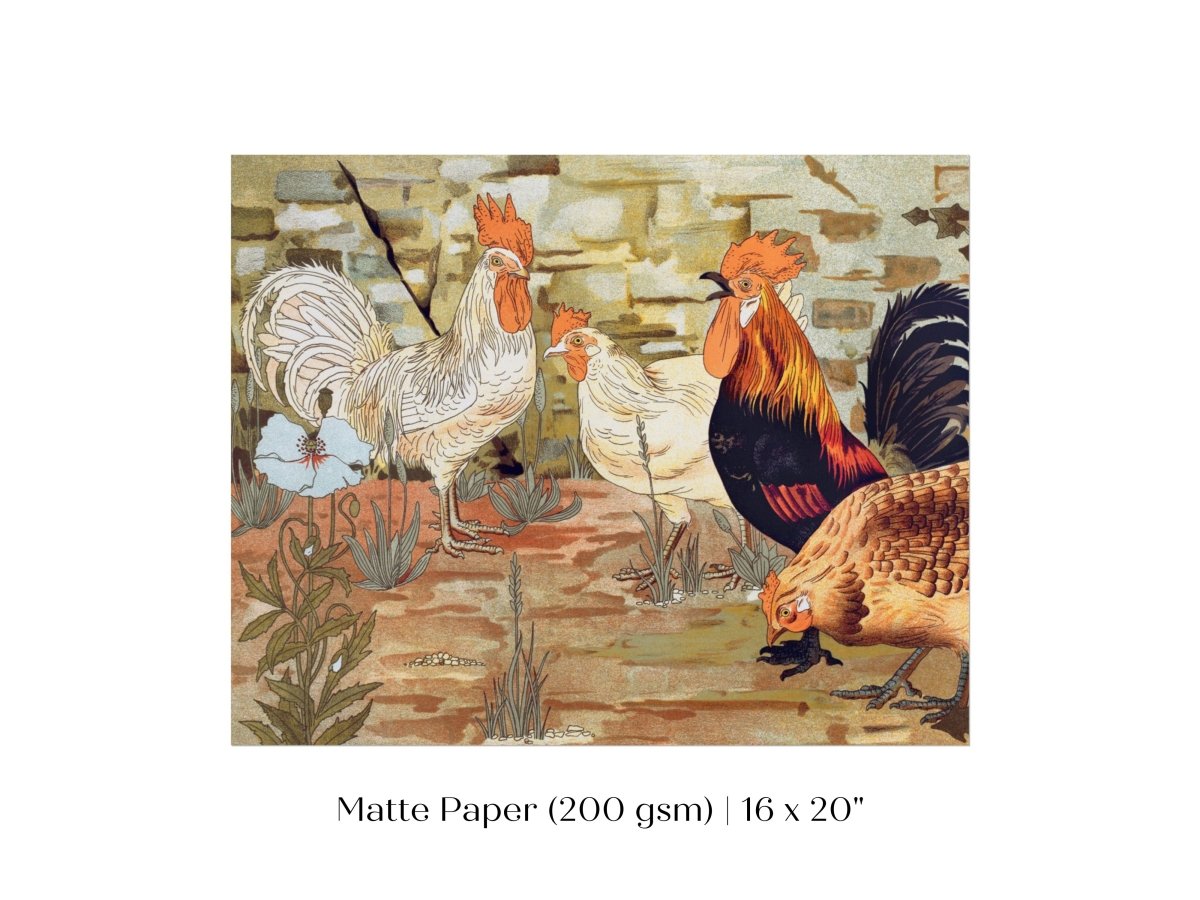 Coqs et Poules | P247 - Single Art Prints - Piccolo Fiore Prints