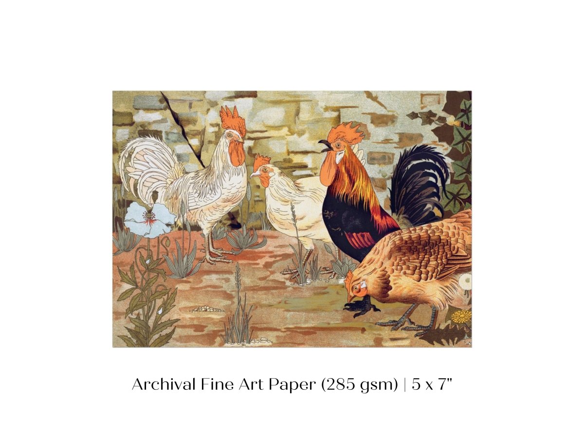Coqs et Poules | P247 - Single Art Prints - Piccolo Fiore Prints