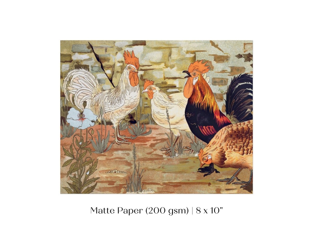 Coqs et Poules | P247 - Single Art Prints - Piccolo Fiore Prints