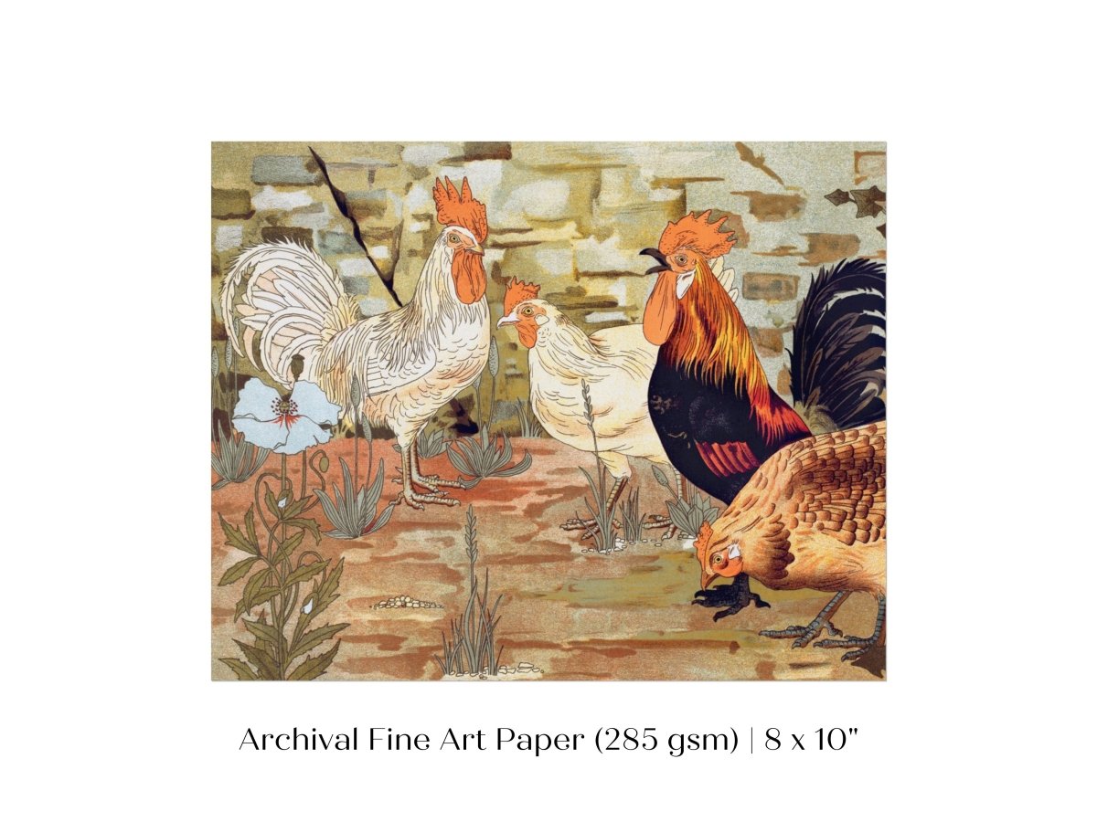 Coqs et Poules | P247 - Single Art Prints - Piccolo Fiore Prints