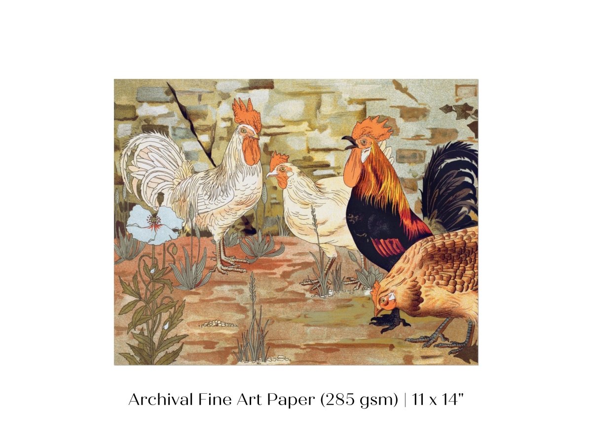 Coqs et Poules | P247 - Single Art Prints - Piccolo Fiore Prints