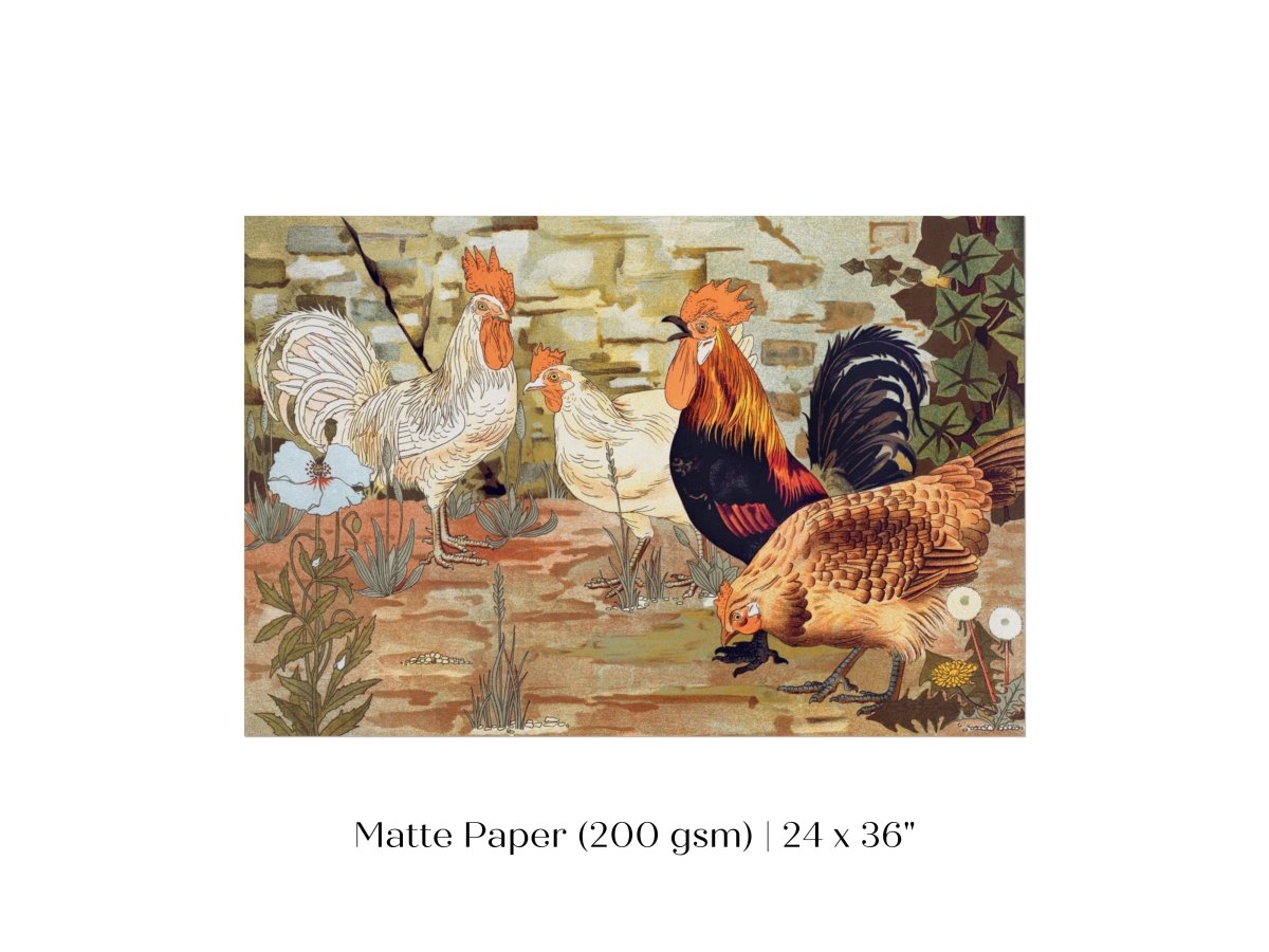 Coqs et Poules | P247 - Single Art Prints - Piccolo Fiore Prints
