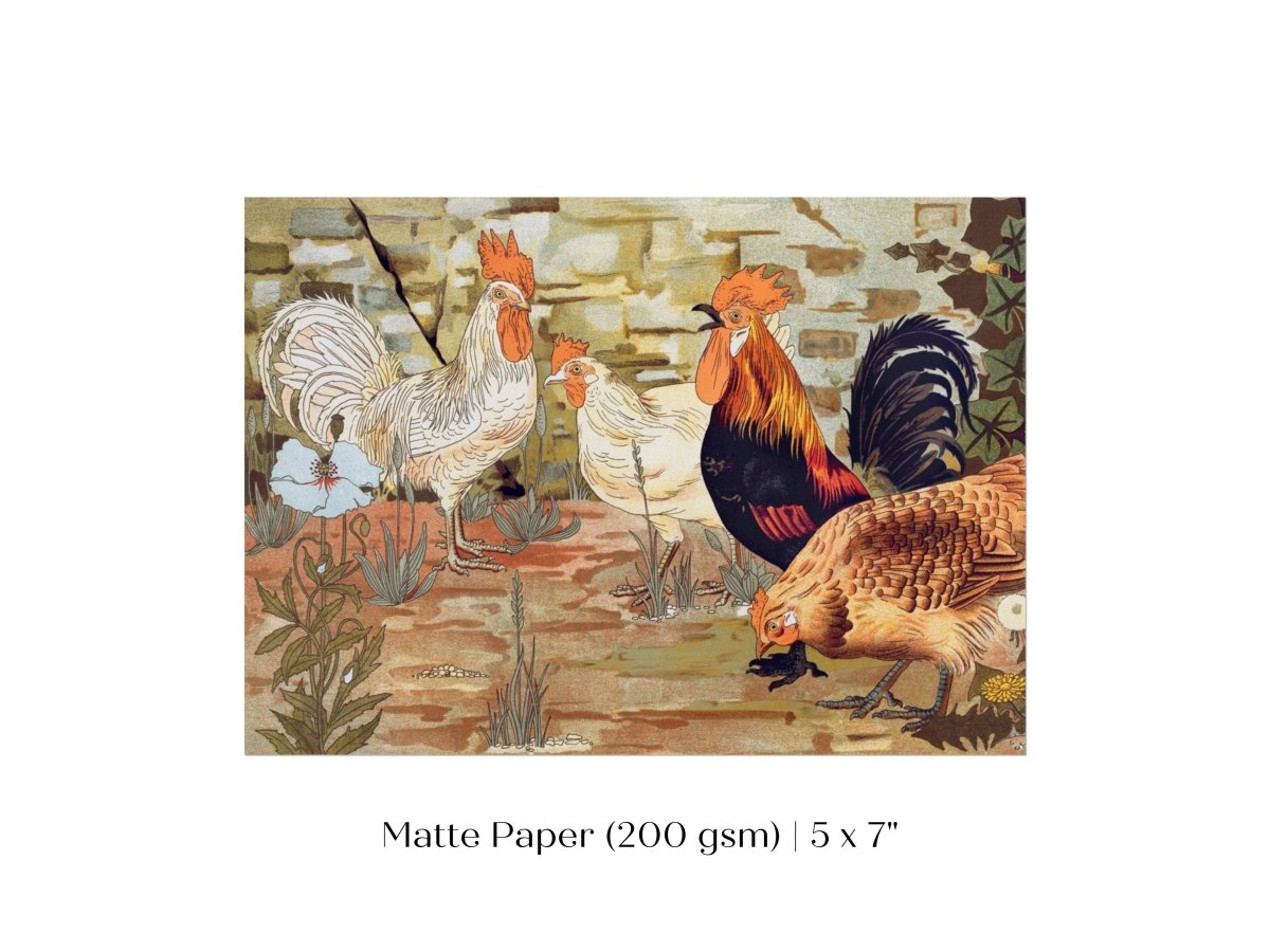 Coqs et Poules | P247 - Single Art Prints - Piccolo Fiore Prints