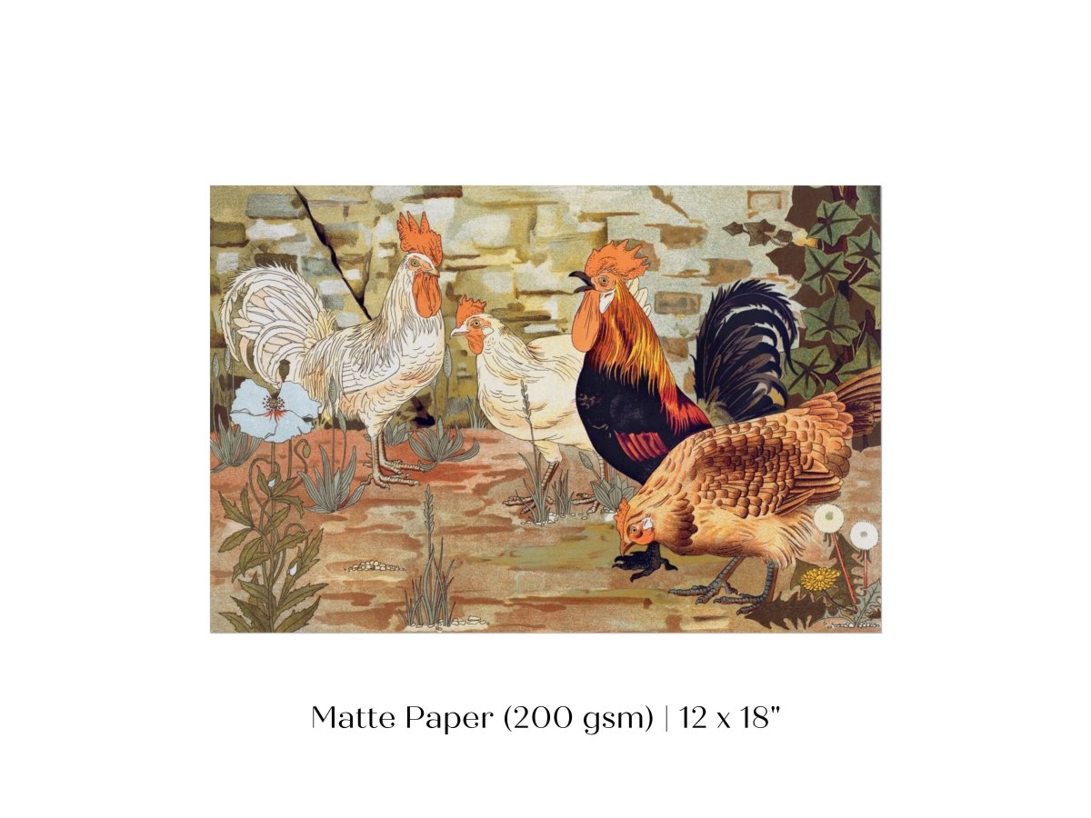 Coqs et Poules | P247 - Single Art Prints - Piccolo Fiore Prints