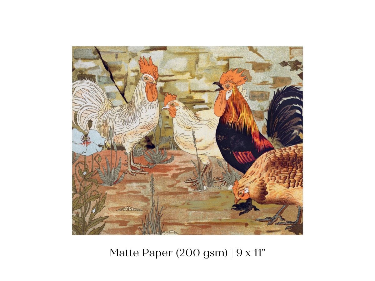 Coqs et Poules | P247 - Single Art Prints - Piccolo Fiore Prints