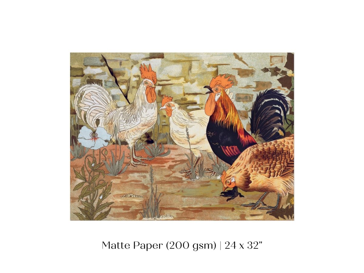 Coqs et Poules | P247 - Single Art Prints - Piccolo Fiore Prints