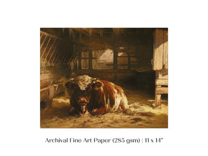 Cow in a Barn | P252 - Single Art Prints - Piccolo Fiore Prints