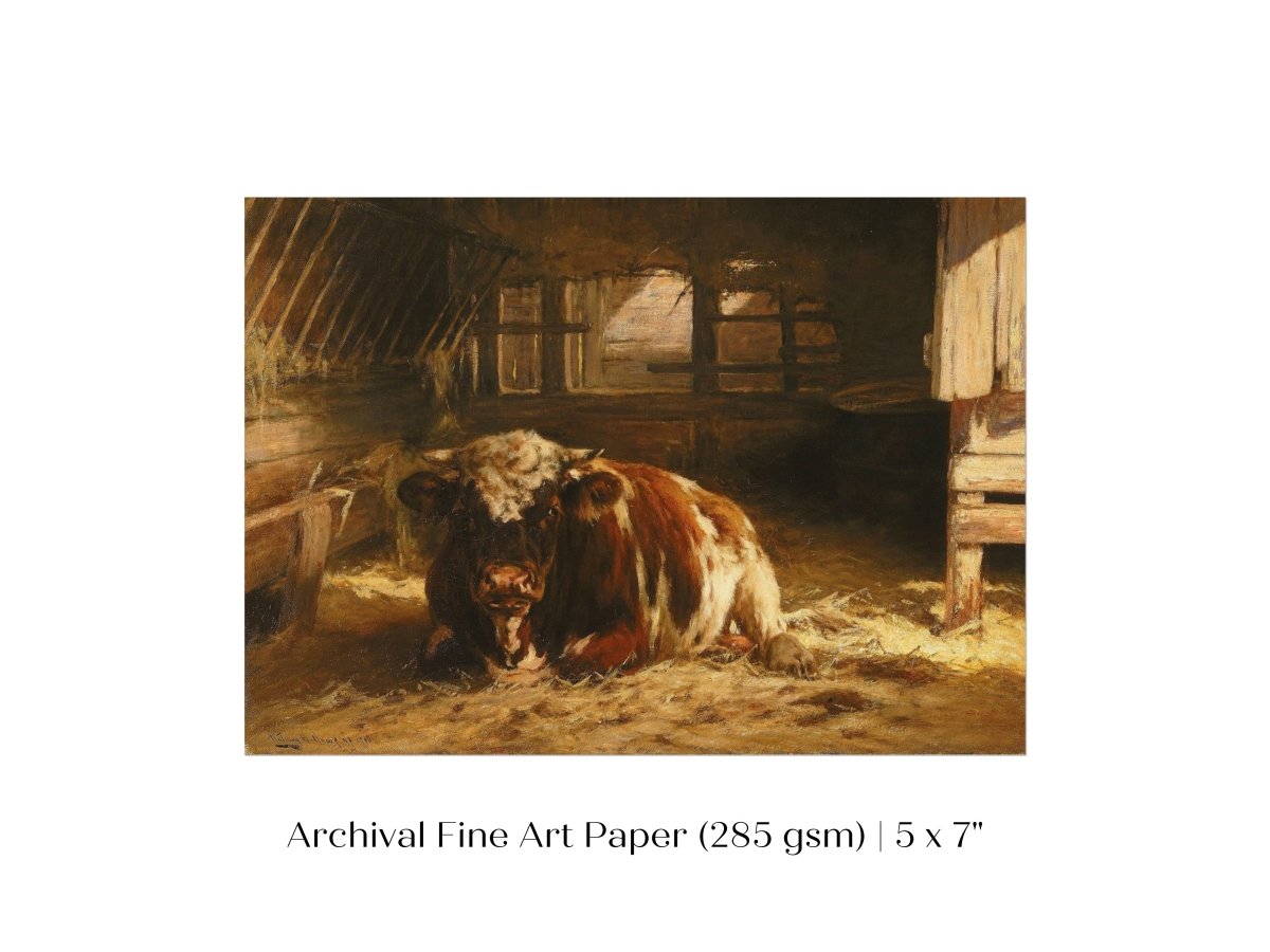 Cow in a Barn | P252 - Single Art Prints - Piccolo Fiore Prints