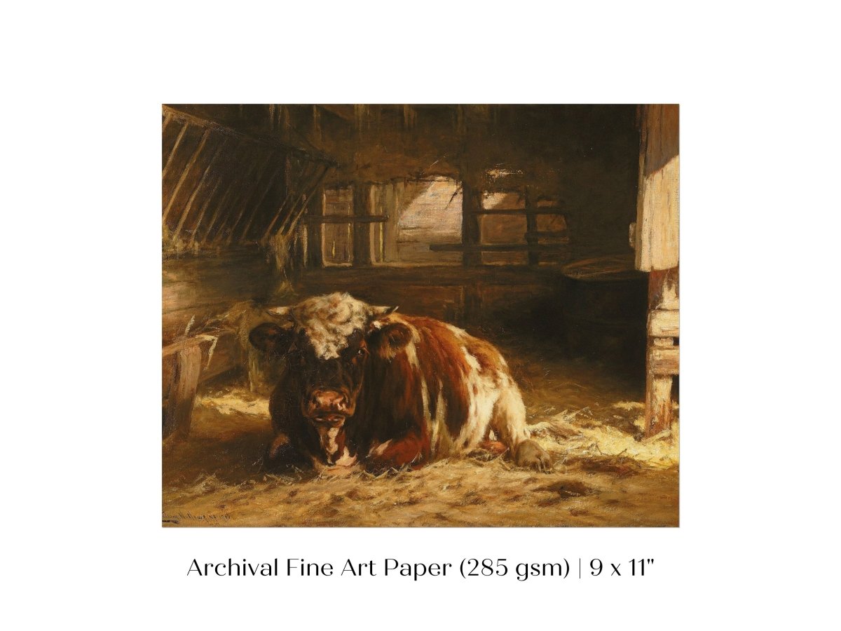 Cow in a Barn | P252 - Single Art Prints - Piccolo Fiore Prints