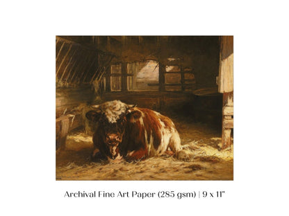 Cow in a Barn | P252 - Single Art Prints - Piccolo Fiore Prints