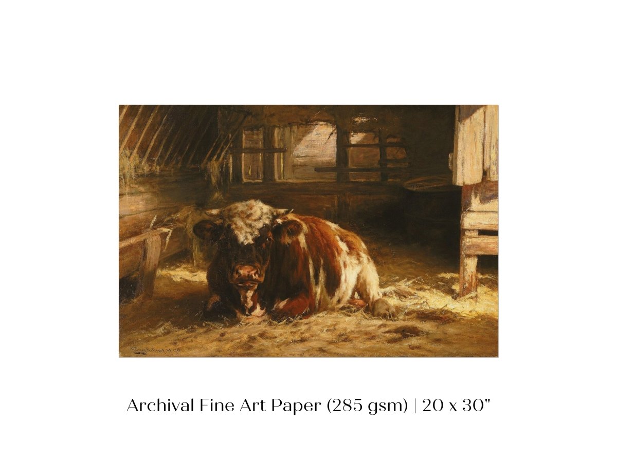 Cow in a Barn | P252 - Single Art Prints - Piccolo Fiore Prints