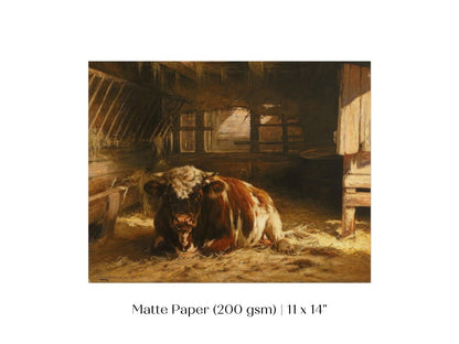 Cow in a Barn | P252 - Single Art Prints - Piccolo Fiore Prints