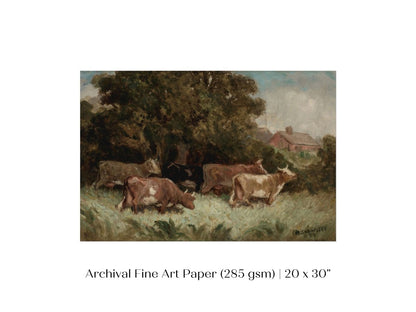 Cows Grazing | P369 - Single Art Prints - Piccolo Fiore Prints