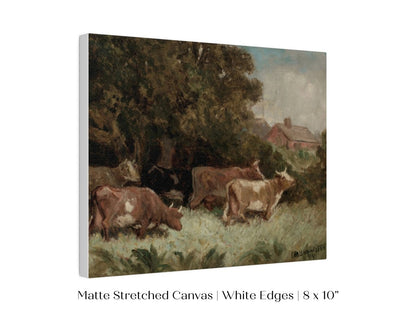 Cows Grazing | P369 - Single Art Prints - Piccolo Fiore Prints