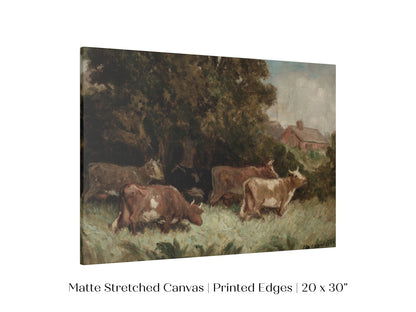 Cows Grazing | P369 - Single Art Prints - Piccolo Fiore Prints