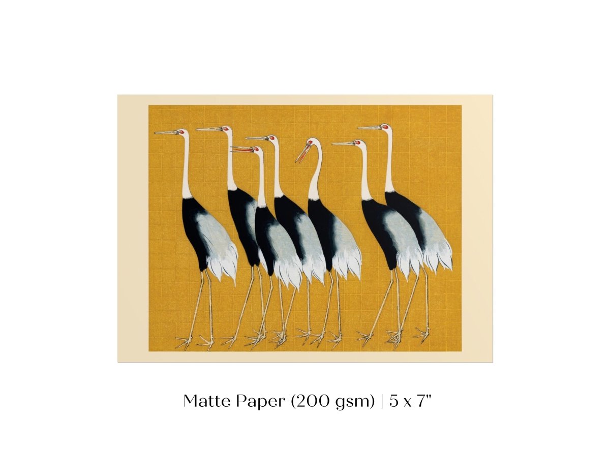 Crane Birds | P352 - Single Art Prints - Piccolo Fiore Prints