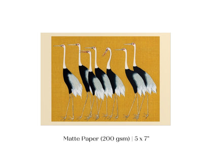 Crane Birds | P352 - Single Art Prints - Piccolo Fiore Prints