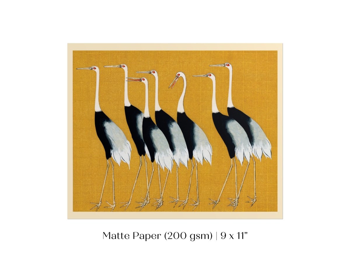 Crane Birds | P352 - Single Art Prints - Piccolo Fiore Prints