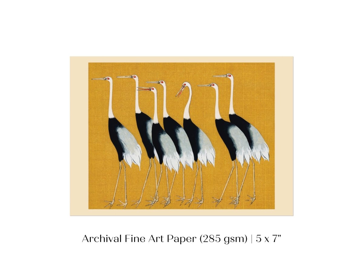 Crane Birds | P352 - Single Art Prints - Piccolo Fiore Prints
