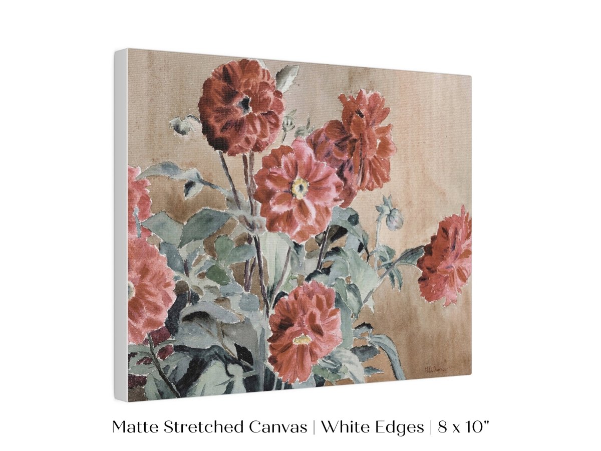 Dahlias | P390 - Single Art Prints - Piccolo Fiore Prints