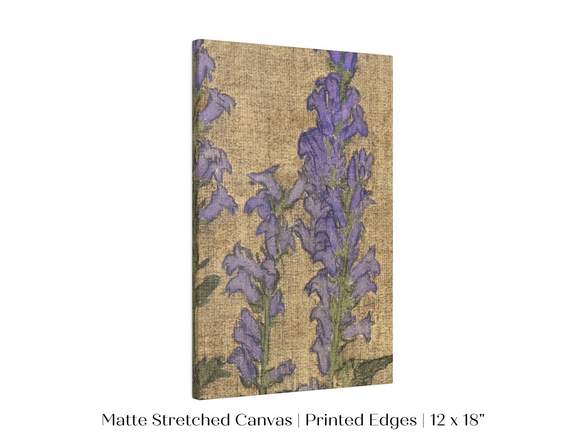 Delphinium | P276 - Single Art Prints - Piccolo Fiore Prints