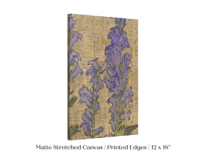 Delphinium | P276 - Single Art Prints - Piccolo Fiore Prints