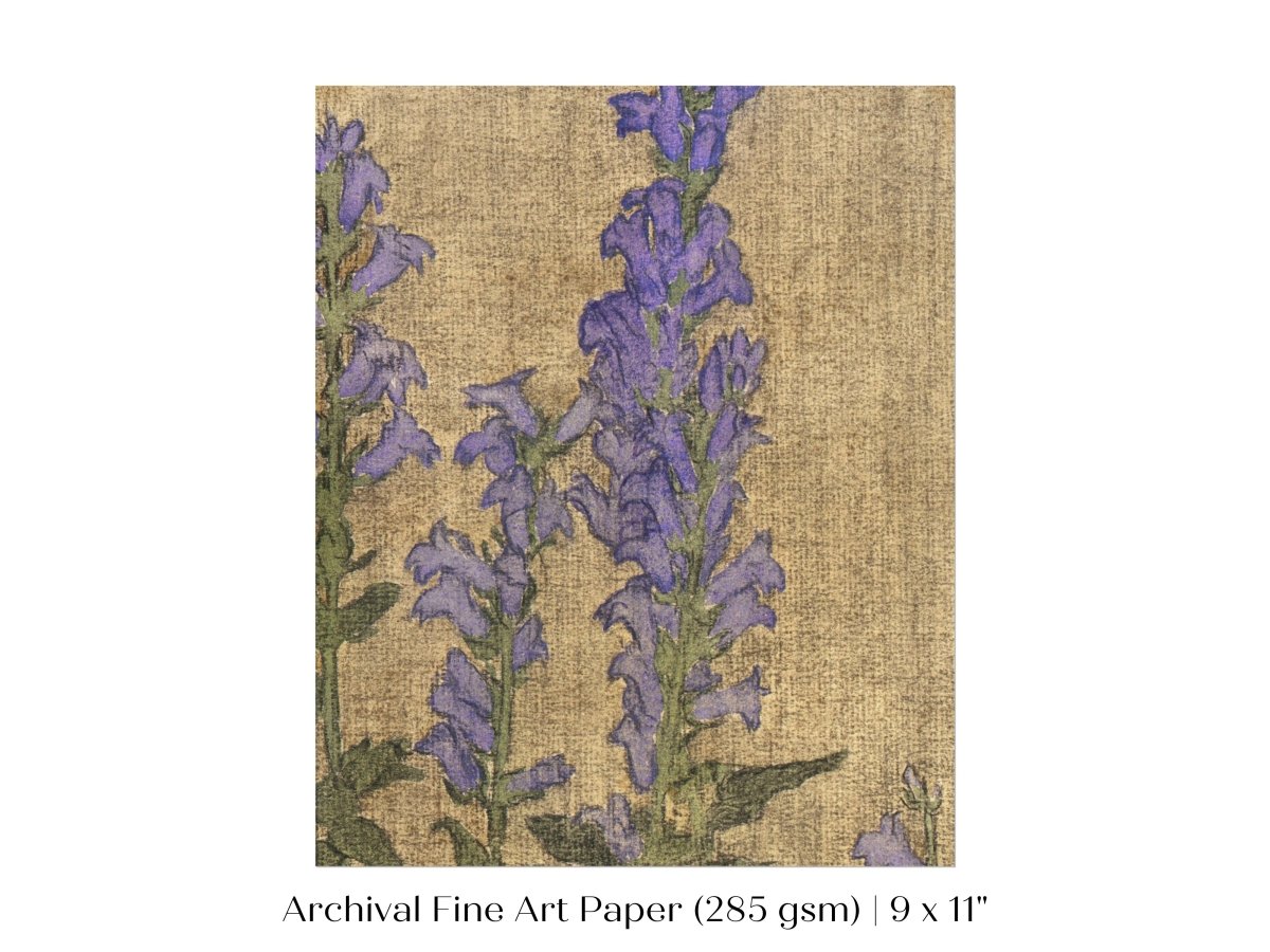 Delphinium | P276 - Single Art Prints - Piccolo Fiore Prints