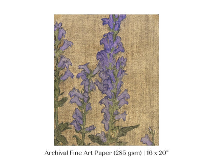 Delphinium | P276 - Single Art Prints - Piccolo Fiore Prints