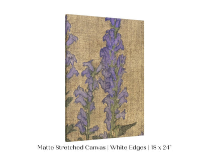 Delphinium | P276 - Single Art Prints - Piccolo Fiore Prints