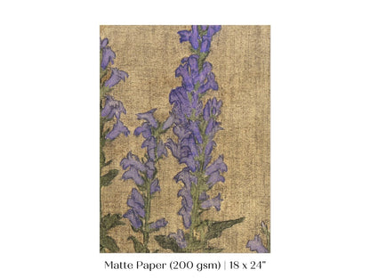 Delphinium | P276 - Single Art Prints - Piccolo Fiore Prints