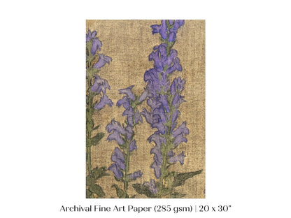 Delphinium | P276 - Single Art Prints - Piccolo Fiore Prints