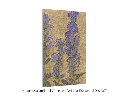 Delphinium | P276 - Single Art Prints - Piccolo Fiore Prints