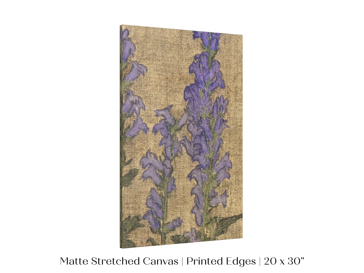 Delphinium | P276 - Single Art Prints - Piccolo Fiore Prints