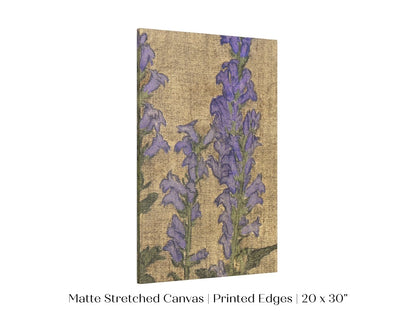 Delphinium | P276 - Single Art Prints - Piccolo Fiore Prints